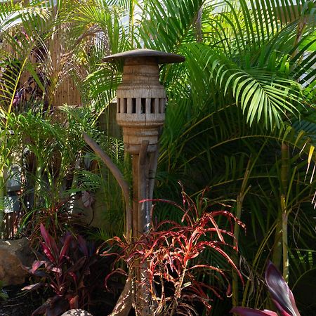 Bamboo Suite, 1 Bedroom, Sleeps 4, Pool & Bbq, Pre-Renovation Summer Sale Kihei Zewnętrze zdjęcie