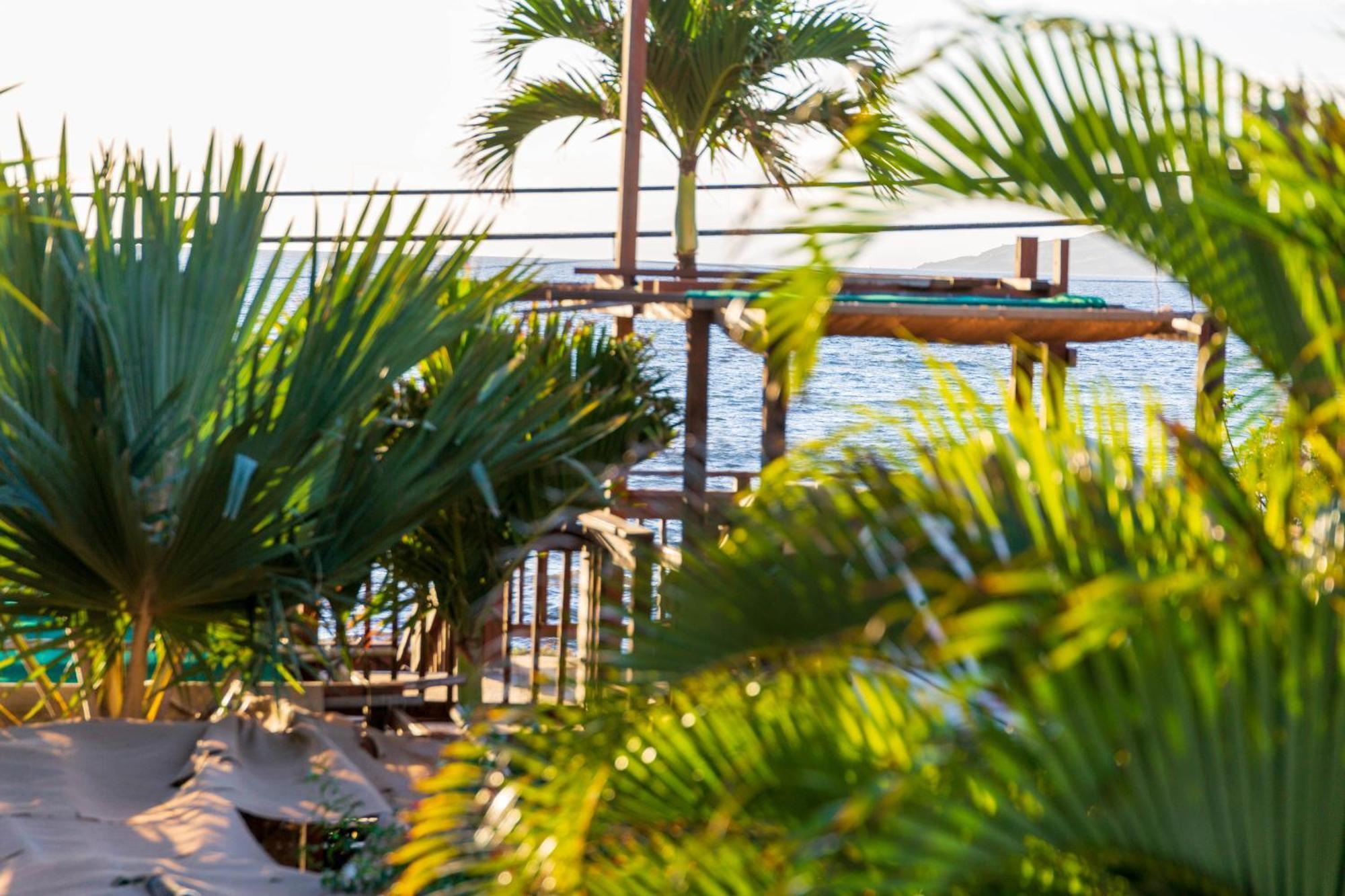 Bamboo Suite, 1 Bedroom, Sleeps 4, Pool & Bbq, Pre-Renovation Summer Sale Kihei Zewnętrze zdjęcie