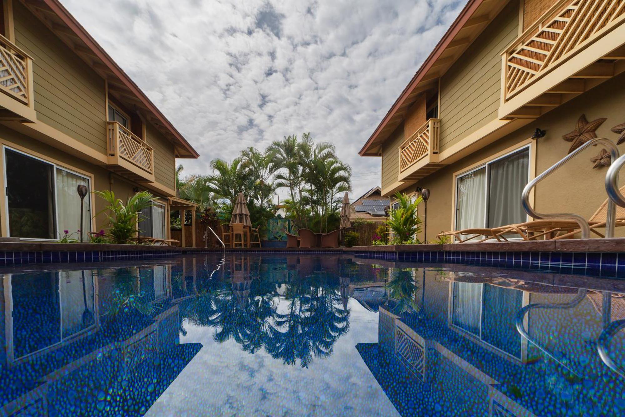 Bamboo Suite, 1 Bedroom, Sleeps 4, Pool & Bbq, Pre-Renovation Summer Sale Kihei Zewnętrze zdjęcie