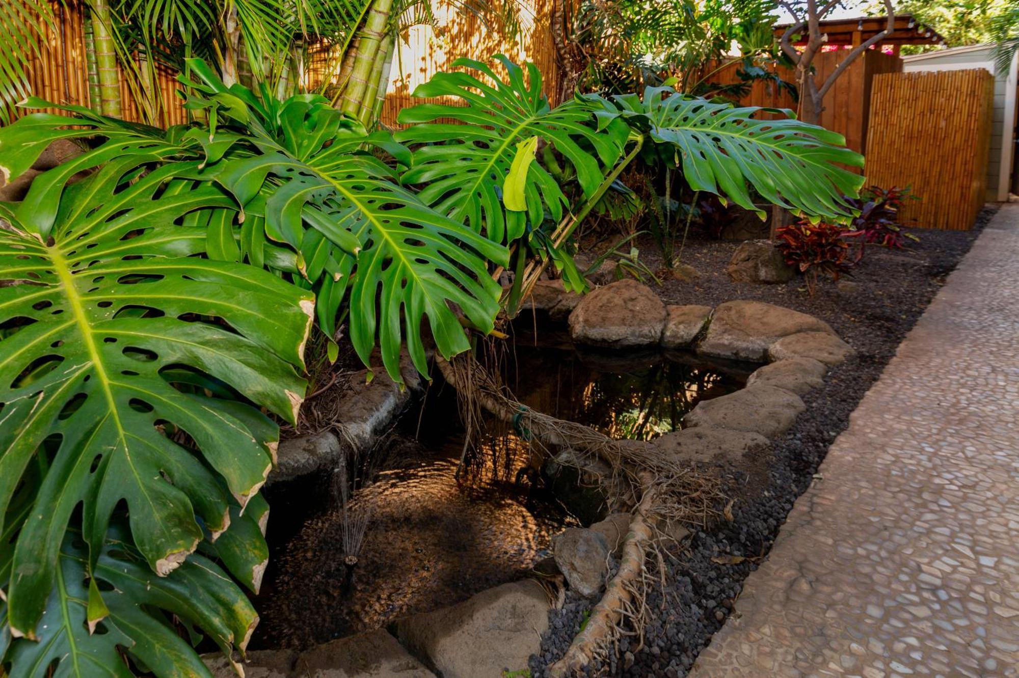 Bamboo Suite, 1 Bedroom, Sleeps 4, Pool & Bbq, Pre-Renovation Summer Sale Kihei Zewnętrze zdjęcie